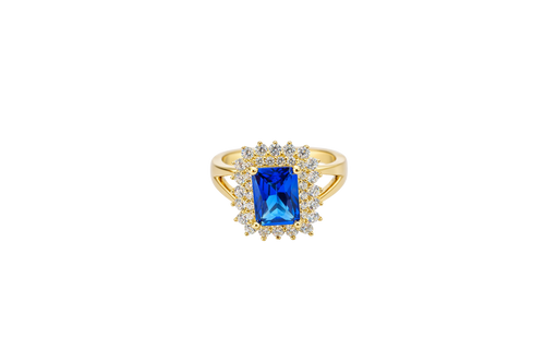 14KT Gold Women's Ring Navy Blue Rectangle Center CZ Stone Double White Round CZ Stones Border Plain Split Band