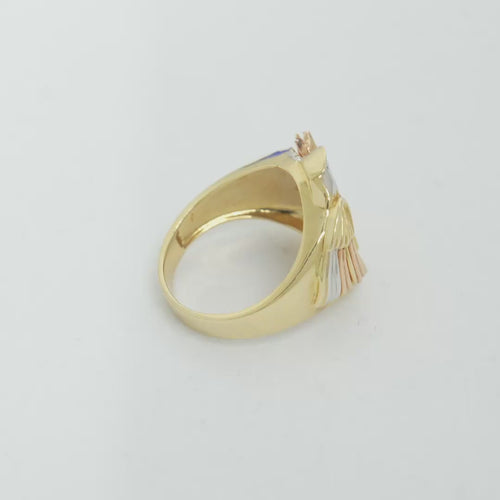 14KT Gold Ring Men's Round Tri Tone Eagle/Snake 12 White Round CZ Stones Single Row Lower Border Side Design Plain